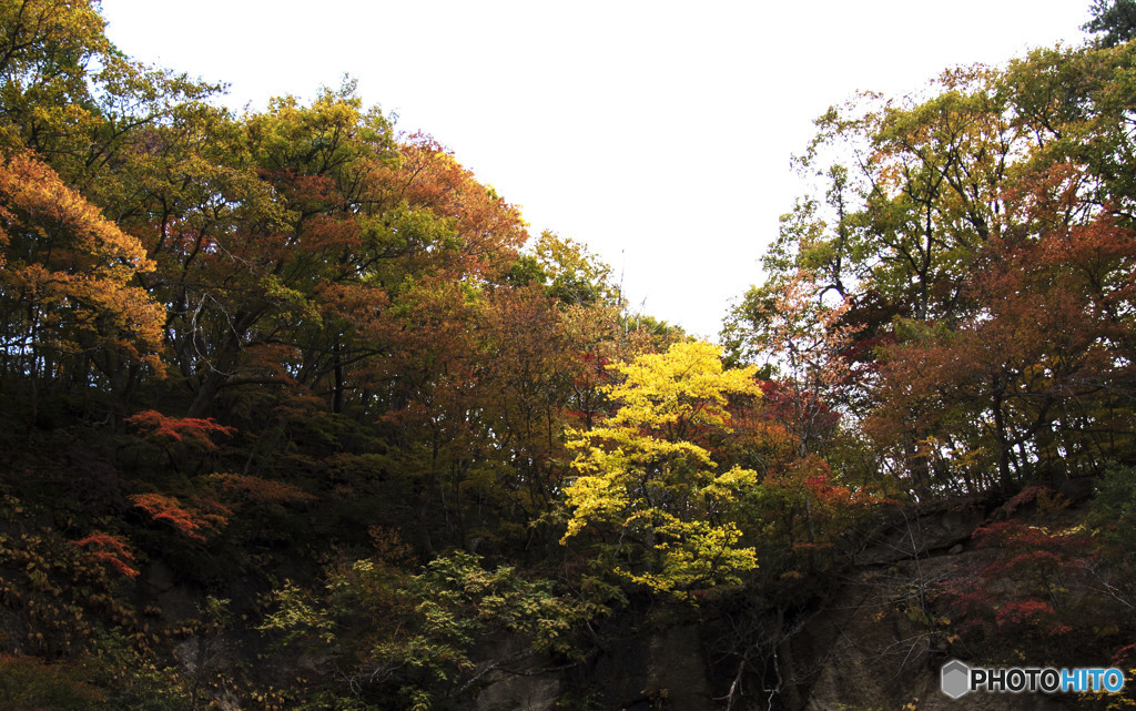 見とれてしまう。