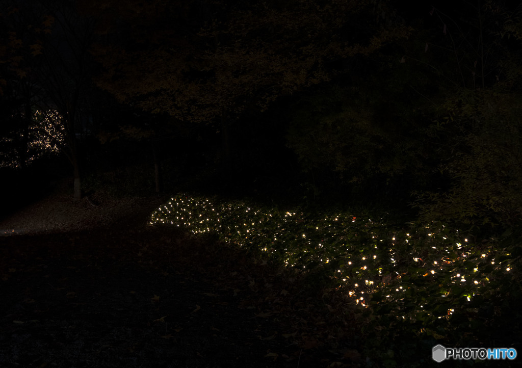 白い天使が舞う