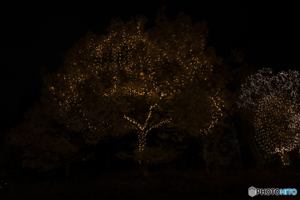 時に怖い灯りも