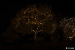 時に怖い灯りも