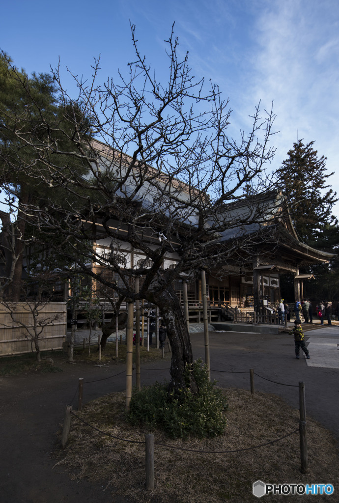 私だってオシャレをします。