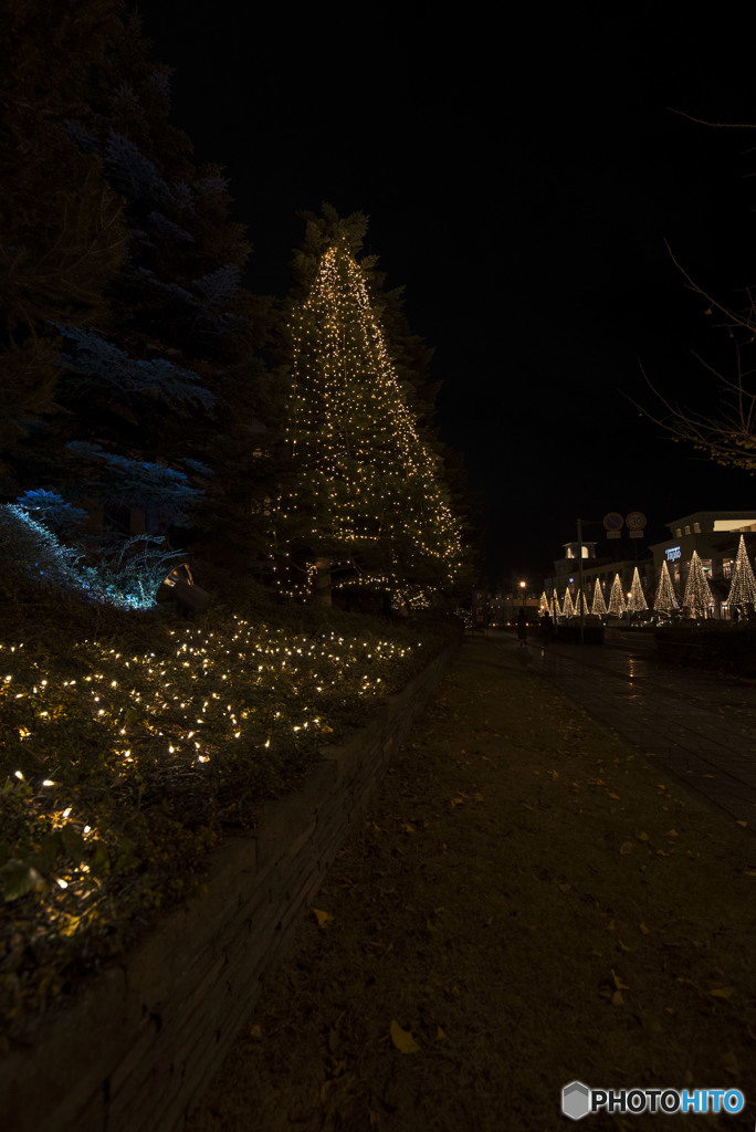 怪しい光に導かれて