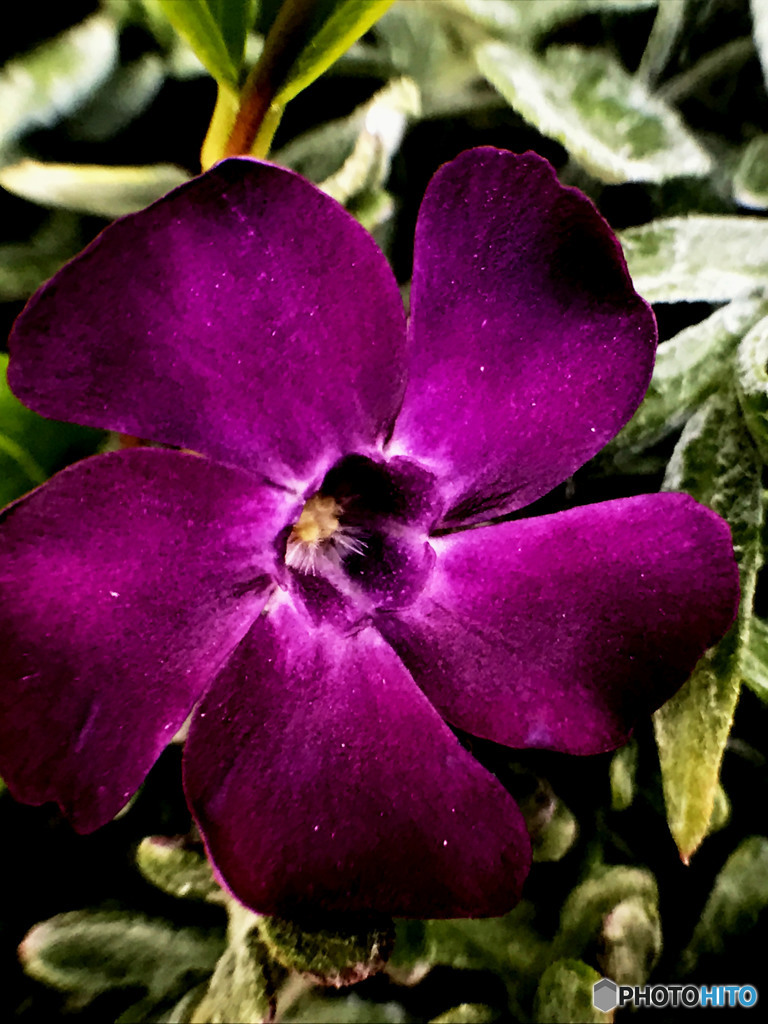 ため息の中にほのかな憧れが寄り添う