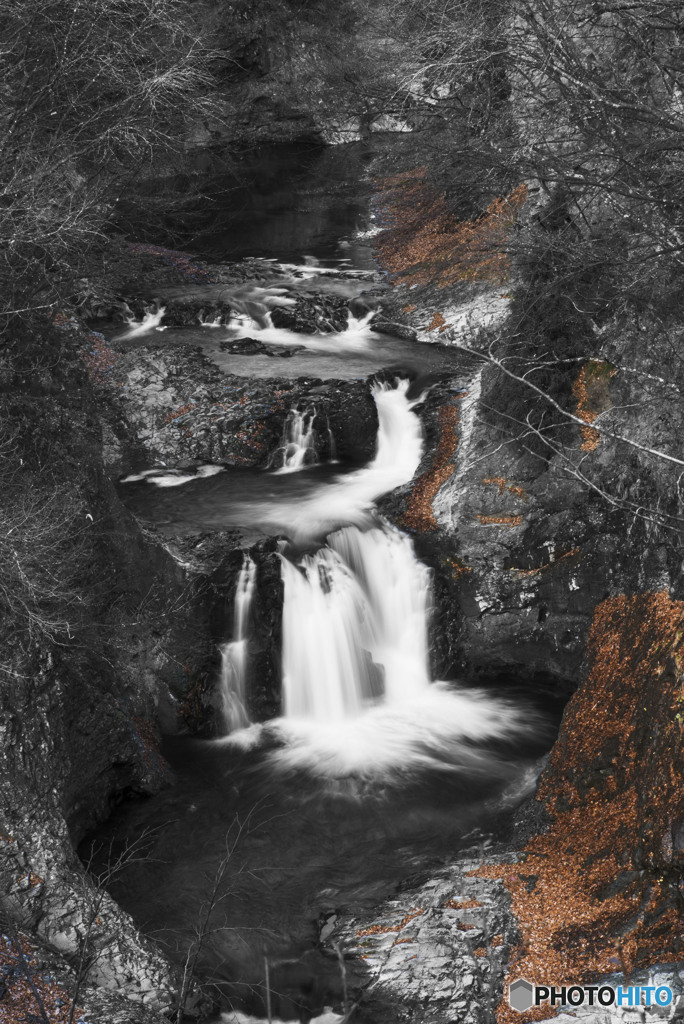 枯れて行く素晴らしさ