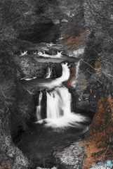 枯れて行く素晴らしさ