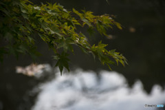 沢山の手に見送られて