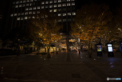 ごめん…これ以上悲しまないで。