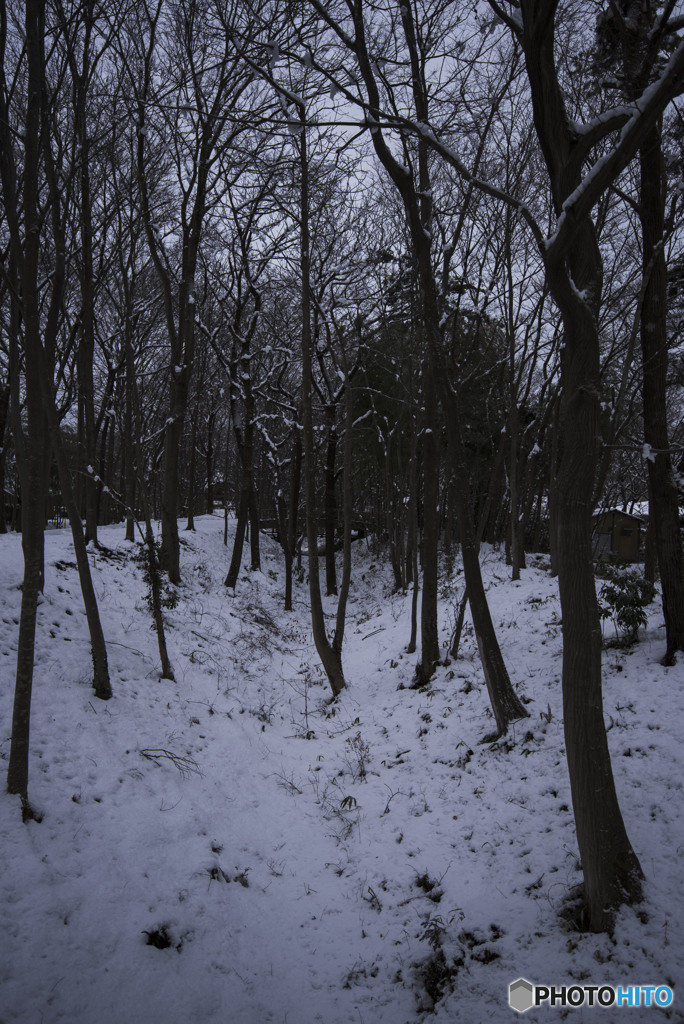 寒さを音に変えて