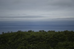 どうしてこんなに淋しい