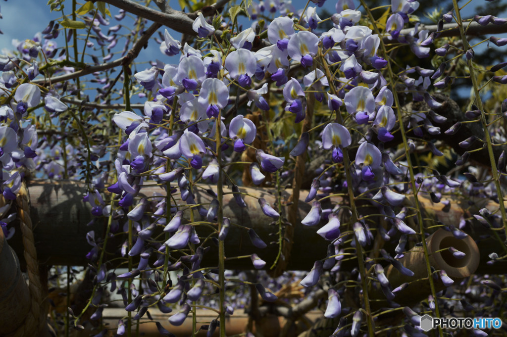 また逢えると良いね