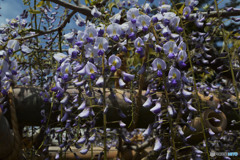 また逢えると良いね