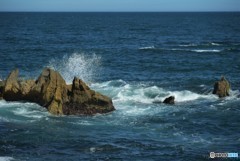 いいえｗこれがしぶきですｗ