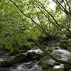 雨はやみ
