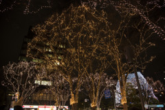 手探りで止めた後　雪の気配