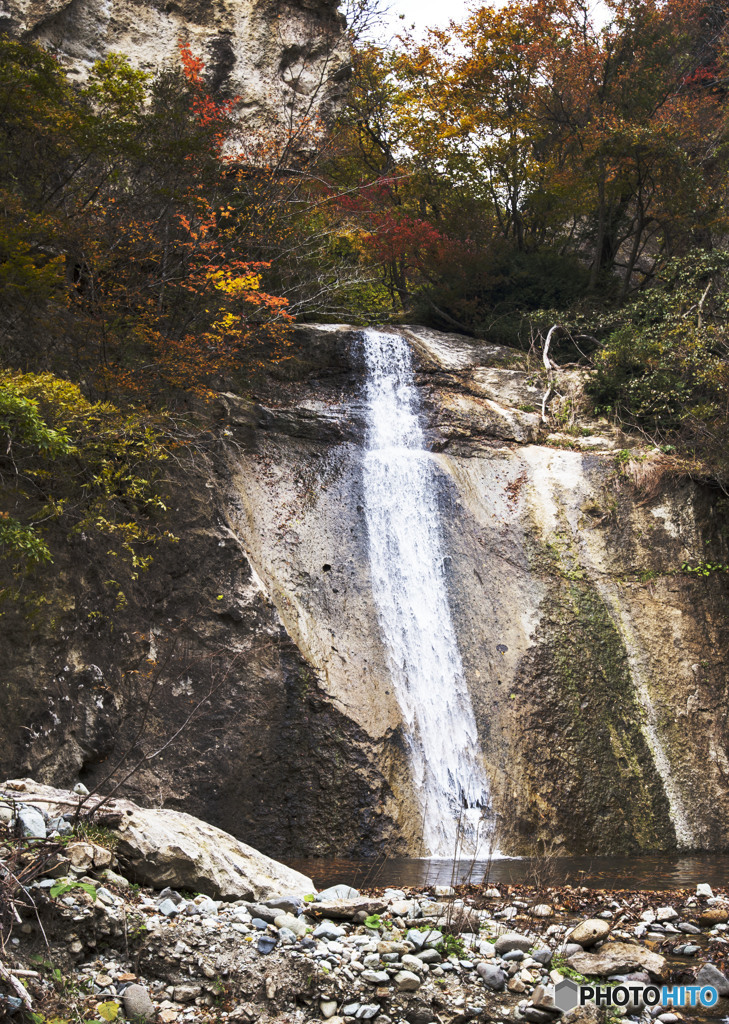 初めてお会い致しました。