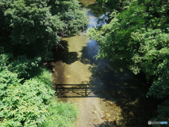 影の架け橋