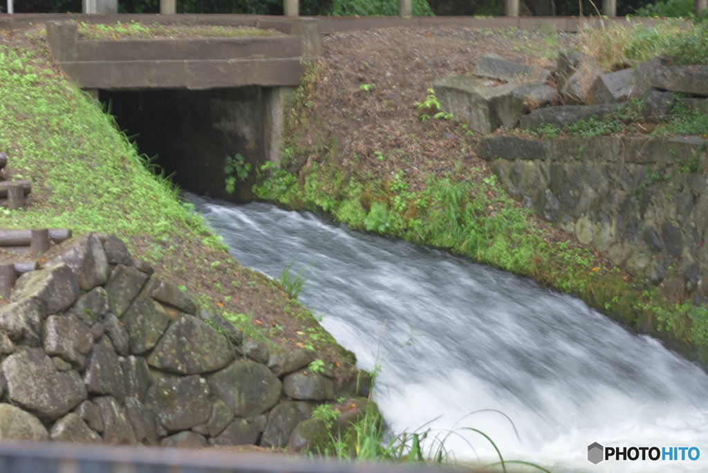 降りしきる雨にすべてを流して