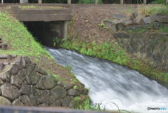 降りしきる雨にすべてを流して