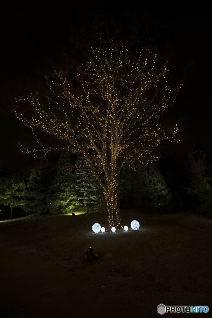 声が聞こえる　Holy Night