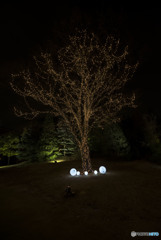 声が聞こえる　Holy Night