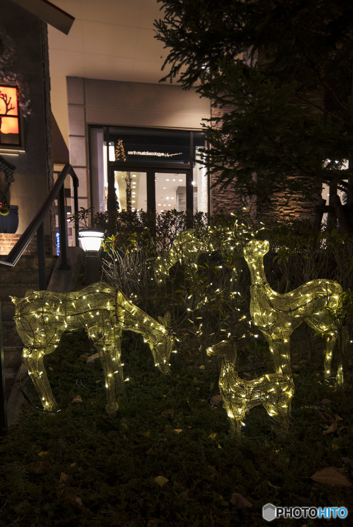 可愛いと思える素直さ