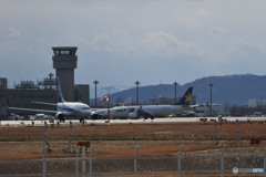 サヨナラを告げる