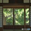 暑い朝