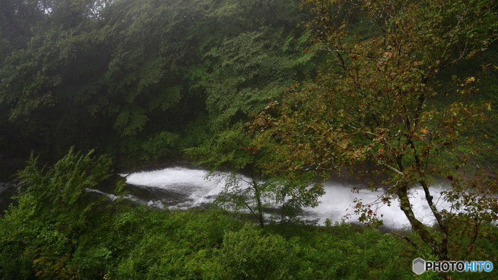 止まない雨は無いさ。