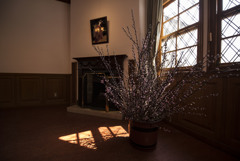 ここにいる喜び