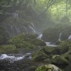 『さよなら』を　呟く君