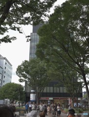 街が賑わいを見せる頃