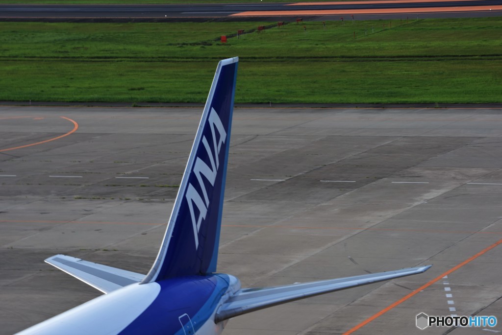 Vertical tail 【All Nippon】