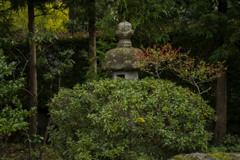 多くの出会いを照らして来た