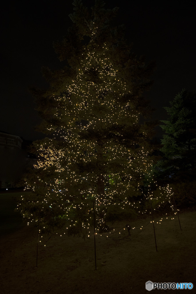 Overflowing with sorrow