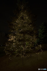 Overflowing with sorrow