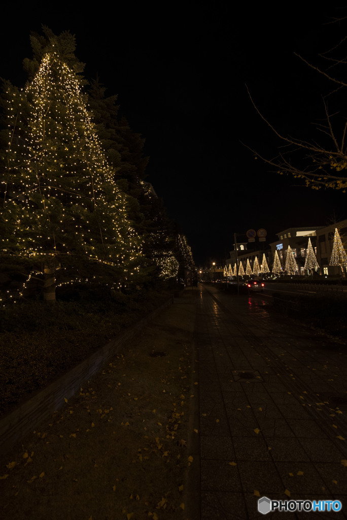 自由って最高！