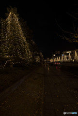 自由って最高！