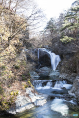 何時ものポーズ