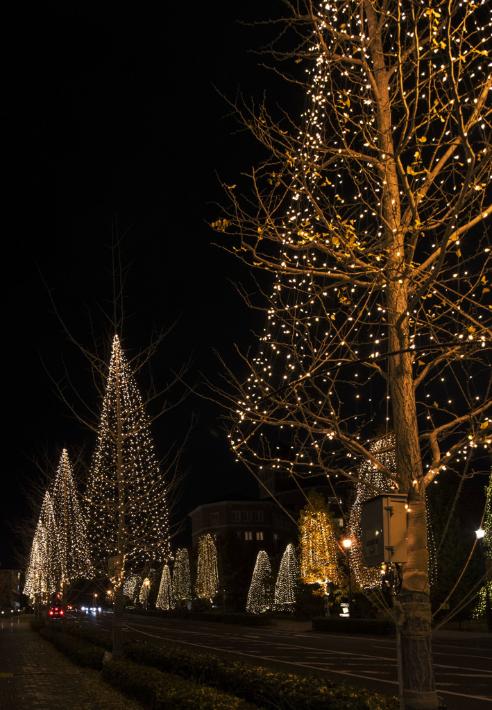 The honesty that seems to be beautiful