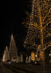 The honesty that seems to be beautiful