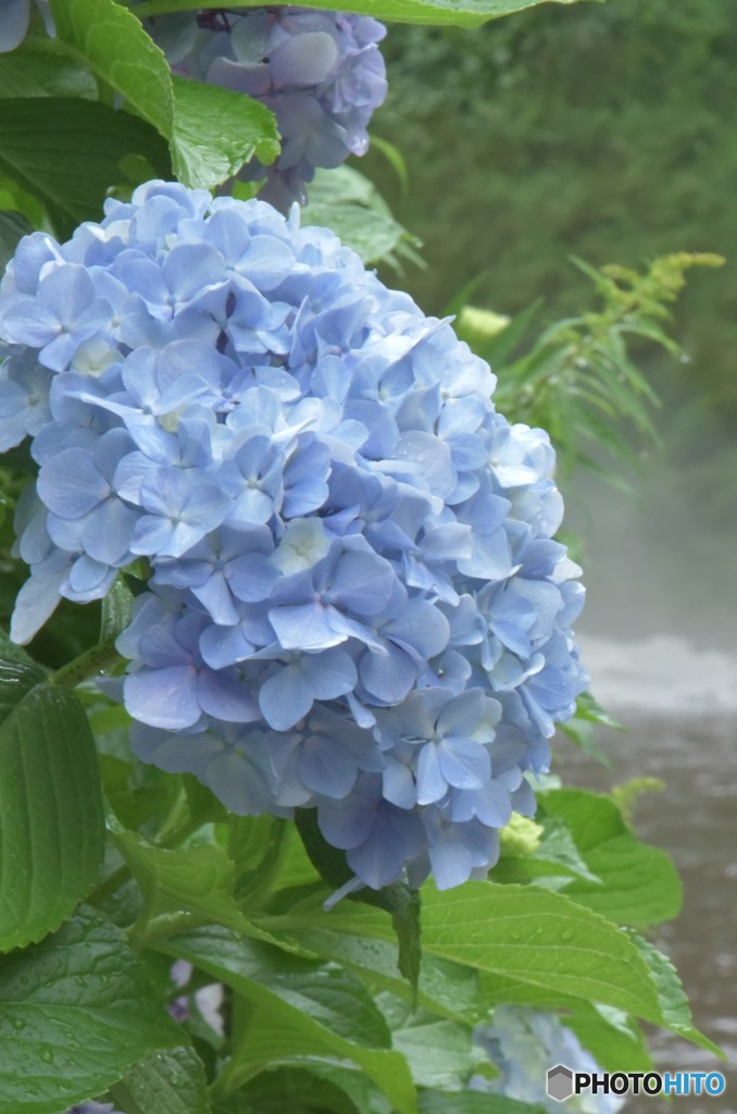 雨にも負けず。