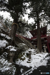 見上げれば