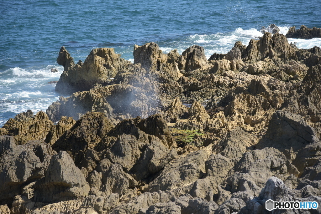 どうでしょうか＾＾？