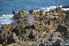 どうでしょうか＾＾？