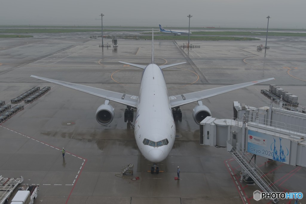飛行機不思議だな