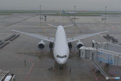 飛行機不思議だな