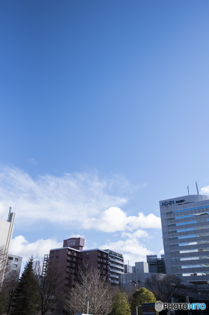 サヨナラさえ上手に言えなかった。