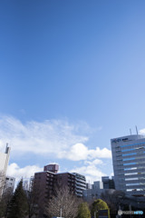 サヨナラさえ上手に言えなかった。