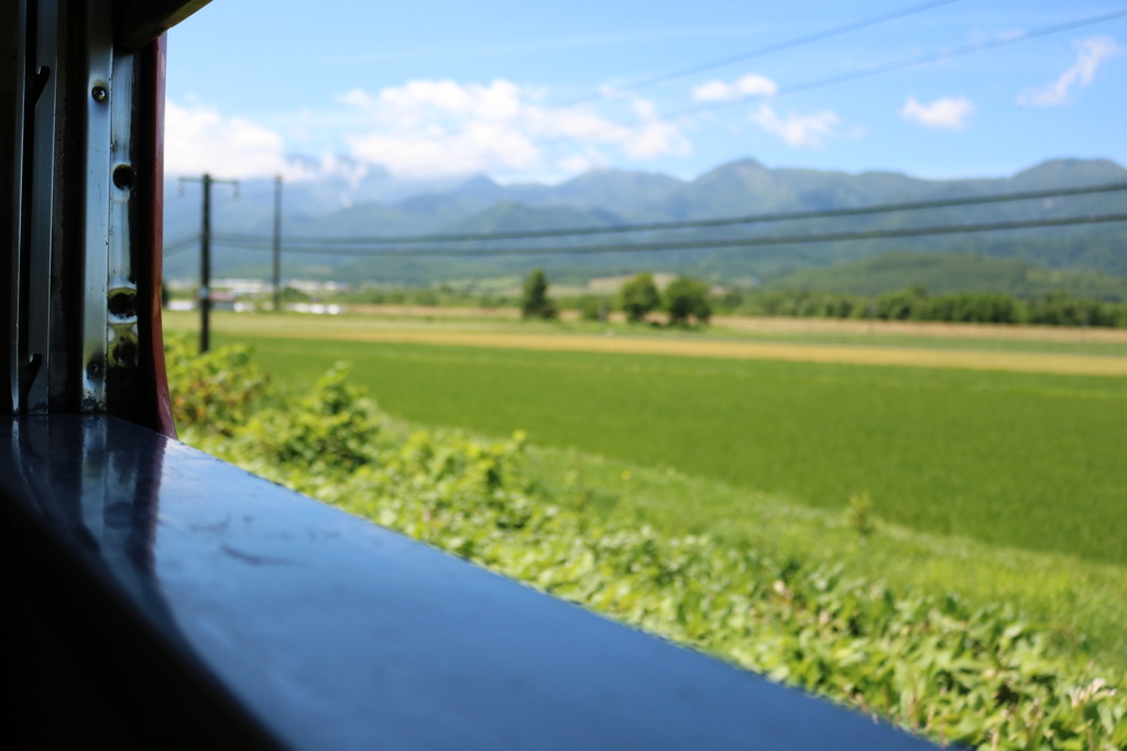 夏の北海道