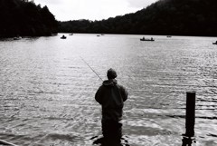 湖畔の釣り